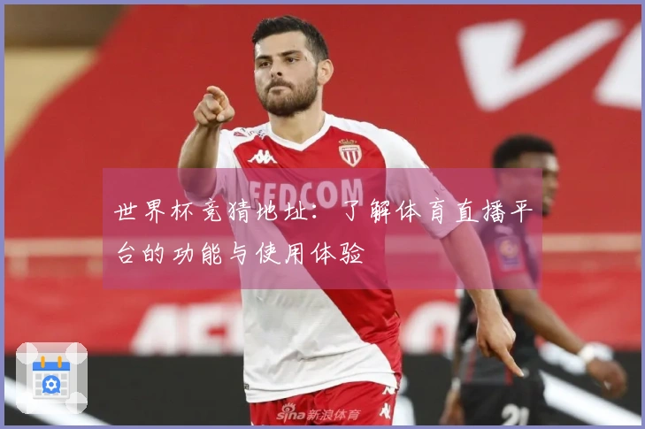 世界杯竞猜地址:了解体育直播平台的功能与使用体验
