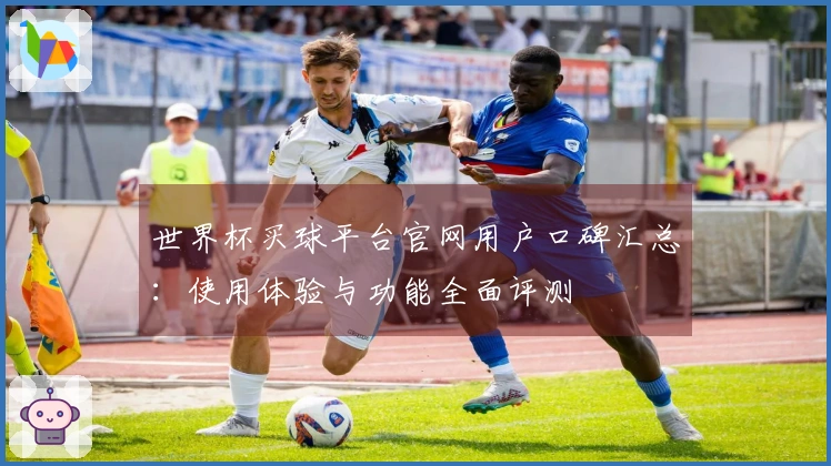 世界杯买球平台官网用户口碑汇总：使用体验与功能全面评测