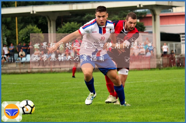 世界杯买球登录入口使用问题汇总及常见解决方案指南
