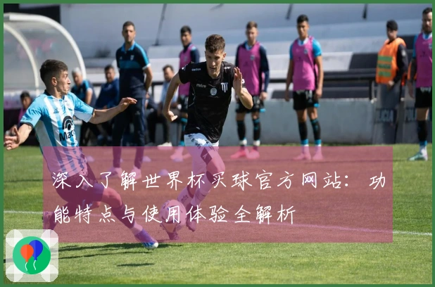 深入了解世界杯买球官方网站：功能特点与使用体验全解析