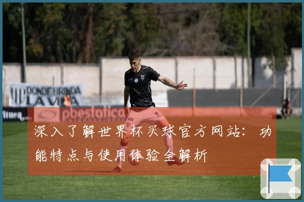深入了解世界杯买球官方网站：功能特点与使用体验全解析