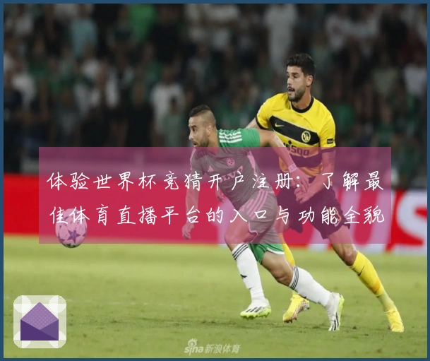 体验世界杯竞猜开户注册：了解最佳体育直播平台的入口与功能全貌