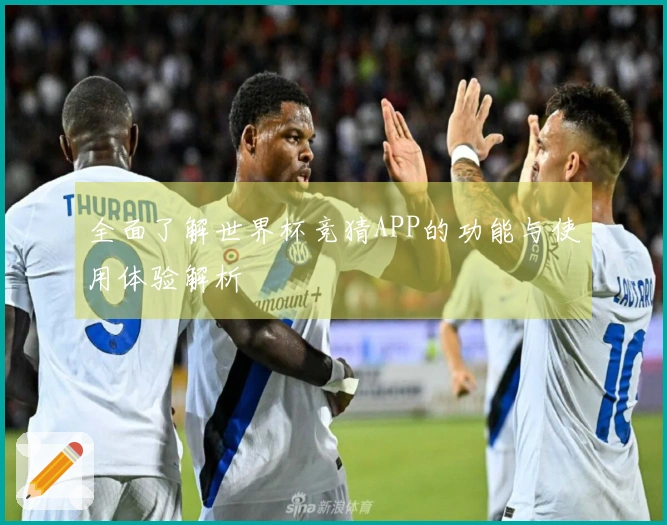 全面了解世界杯竞猜APP的功能与使用体验解析
