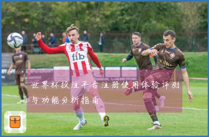 世界杯投注平台注册使用体验评测与功能分析指南