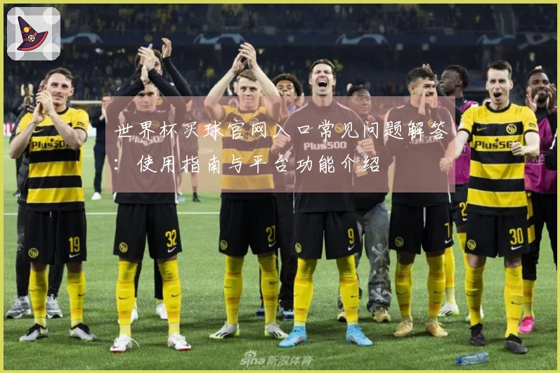 世界杯买球官网入口常见问题解答：使用指南与平台功能介绍