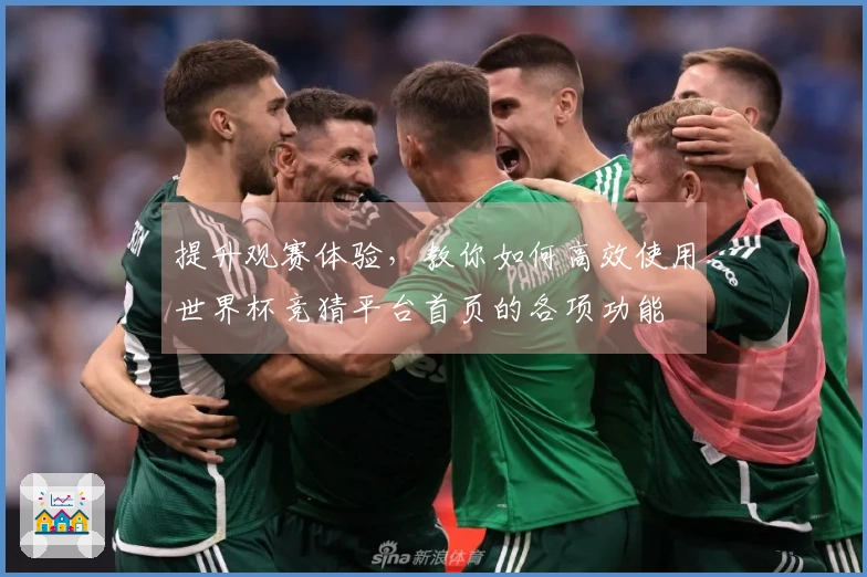 提升观赛体验,教你如何高效使用世界杯竞猜平台首页的各项功能