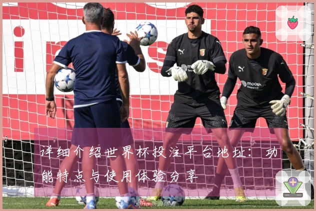 详细介绍世界杯投注平台地址：功能特点与使用体验分享