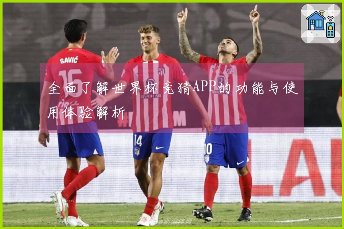全面了解世界杯竞猜APP的功能与使用体验解析
