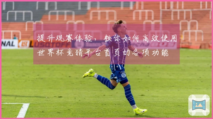 提升观赛体验，教你如何高效使用世界杯竞猜平台首页的各项功能