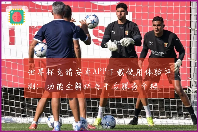 世界杯竞猜安卓APP下载使用体验评测：功能全解析与平台服务介绍