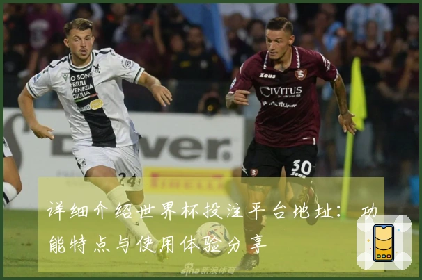 详细介绍世界杯投注平台地址:功能特点与使用体验分享
