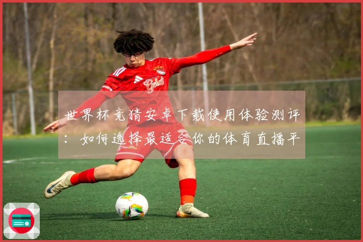 世界杯竞猜安卓下载使用体验测评：如何选择最适合你的体育直播平台？