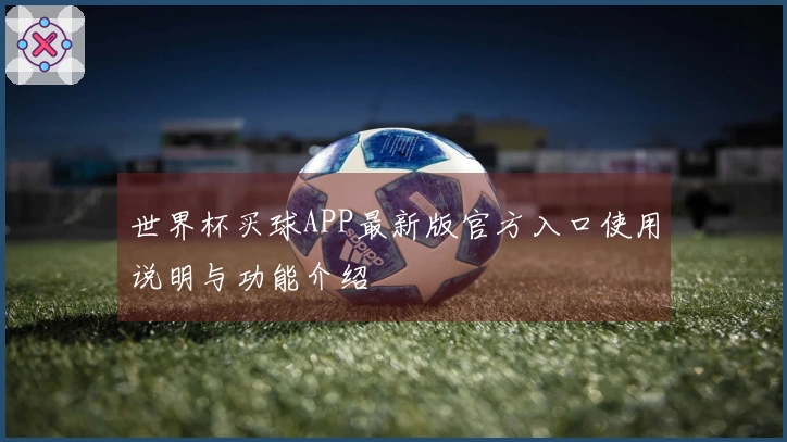 世界杯买球APP最新版官方入口使用说明与功能介绍